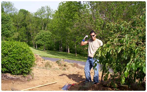 Landscaping Company Services  — Man Trimming Plants in Lin, PA
