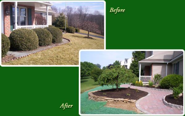 Shrub Maintenance — Shrub Trimming Before and After in Lin, PA