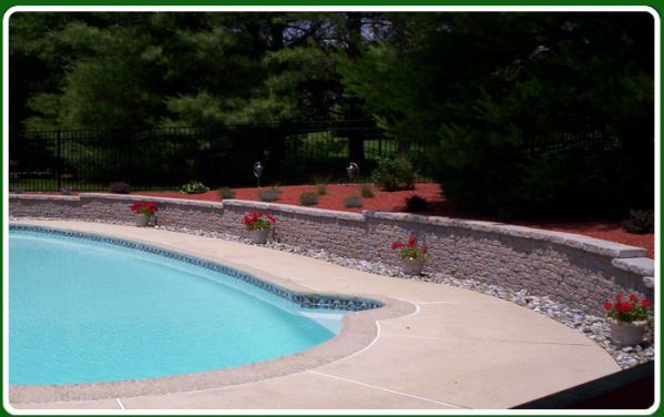 Pool Design — Plants Near Pool in Lin, PA