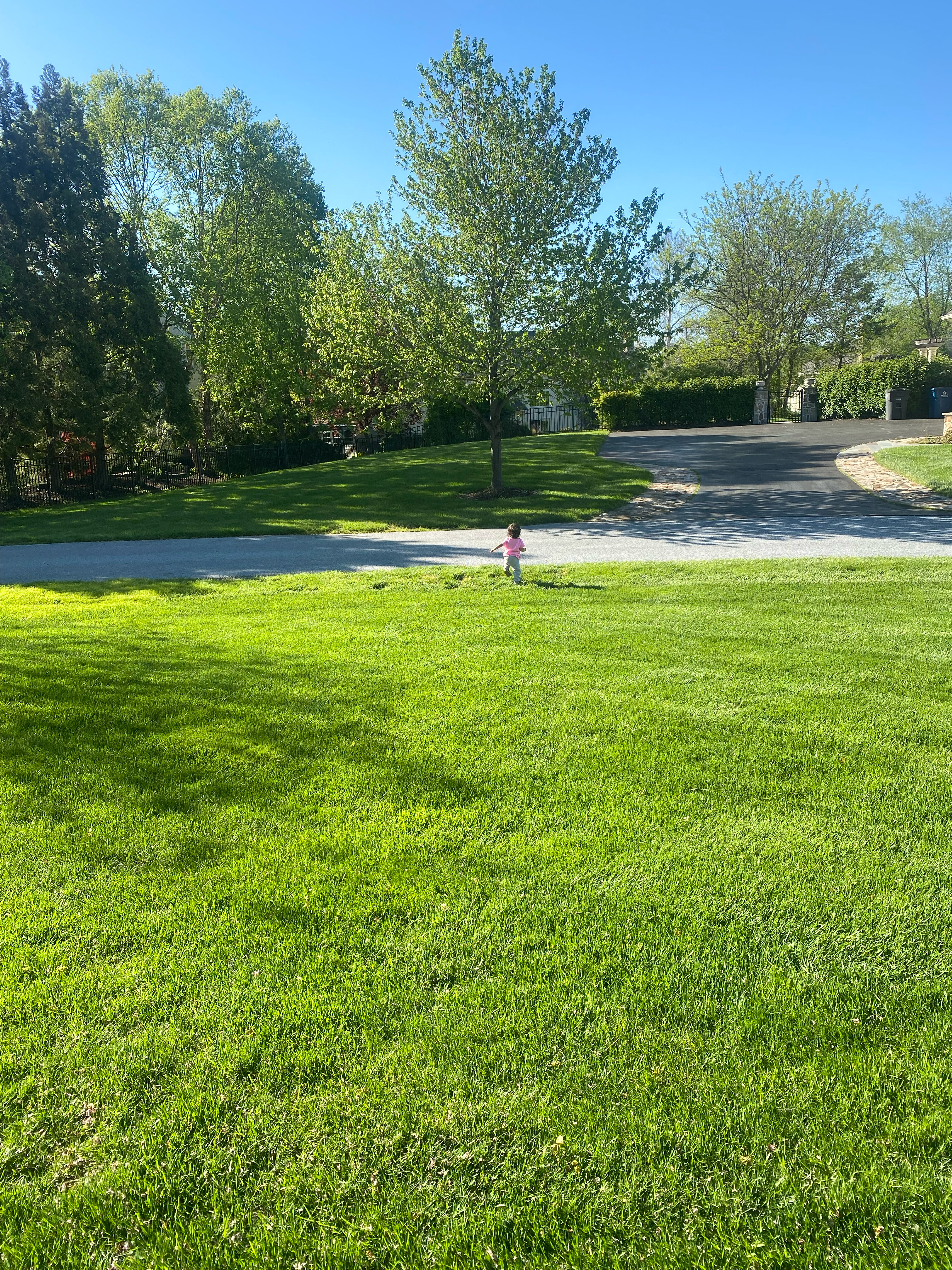 Healthy green lawn in front of a Chester County home