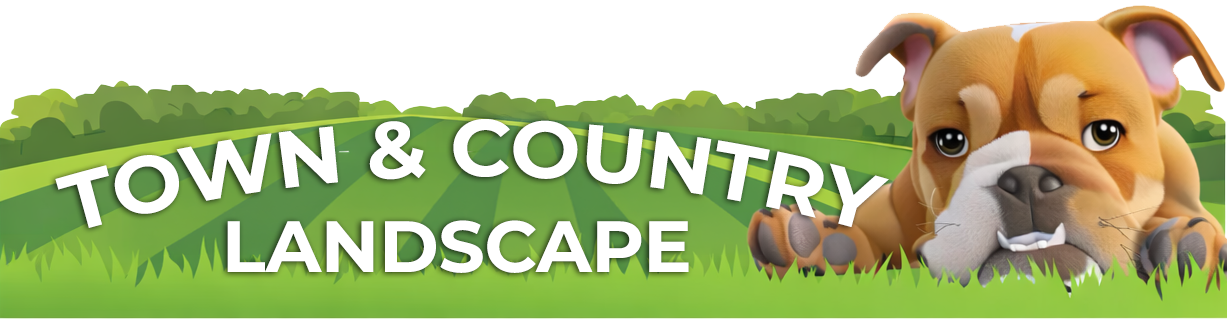 Town and Country Landscape